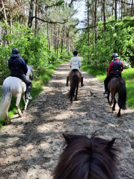 Reiterfreizeit Haren