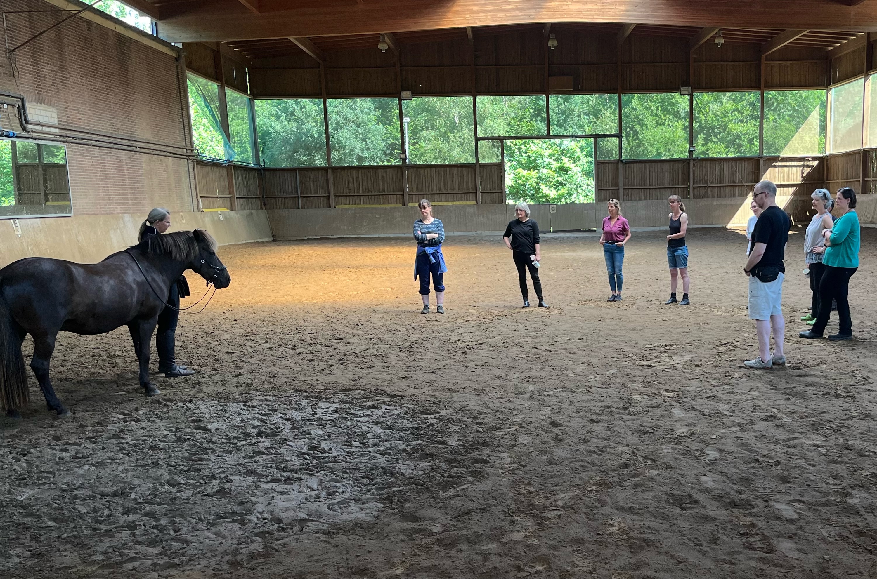 Kurs Klassische Bodenarbeit und Einführung in die Zirzensik